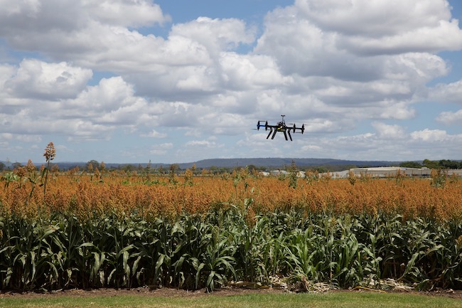 évolution robotique drone